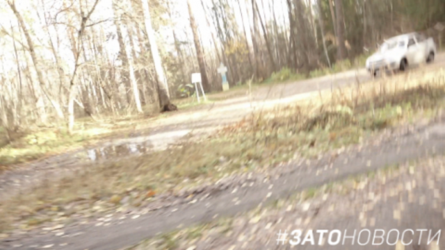 QIP Shot - Screen 1663.png